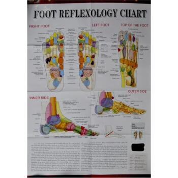 Foot Reflexology Chart